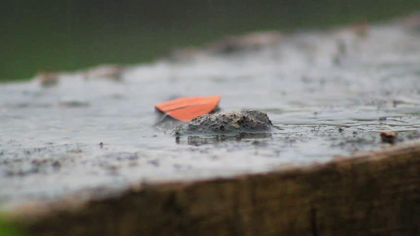 The heavy rain fell on the house fence wall and really cooled the atmosphere