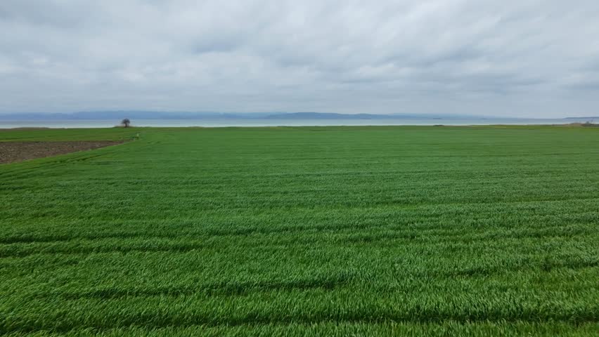 Follow the path across the green fields