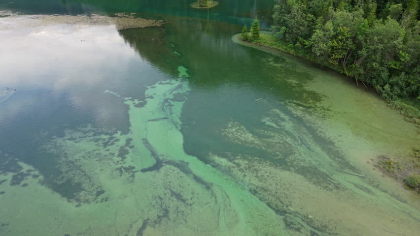 Alpine lake and forest panorama, cinematic reveal, Austria - Aerial View