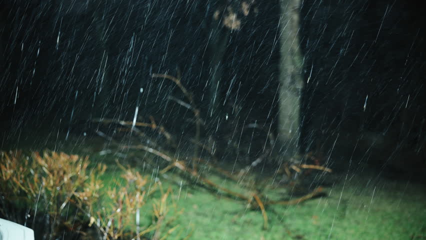 Heavy nighttime rainstorm with strong wind and rain in a forest, branches and trees moving during a severe thunderstorm.