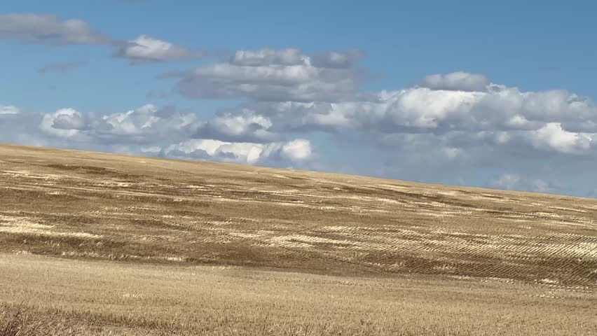 Rural prairie farm fields in Alberta Canada under open sky, showcasing agriculture, farmland, and natural landscape.