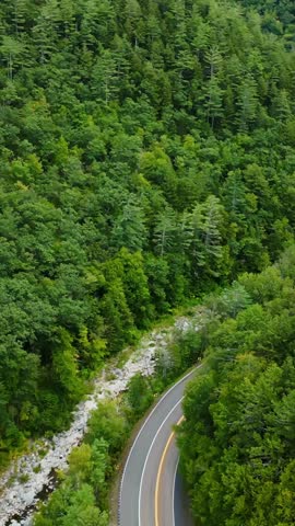 Lush green forest and winding road in Mohawk Trail, Berkshires, USA