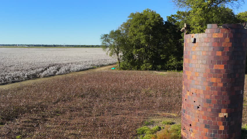 Brick Silo With Tree In The Cotton Fields. - aerial shot