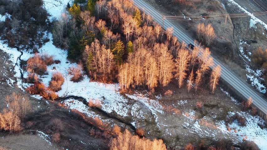 Aerial top-down view of a forested landscape with golden trees, a small stream and patches of snow near Whitefish, Montana as winter thaws into spring.
