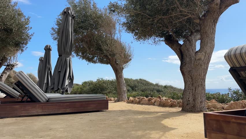 Beach calm scene with sunbed, table and umbrella under olive trees close to Mediterranean sea. Tropical paradise, Cyprus