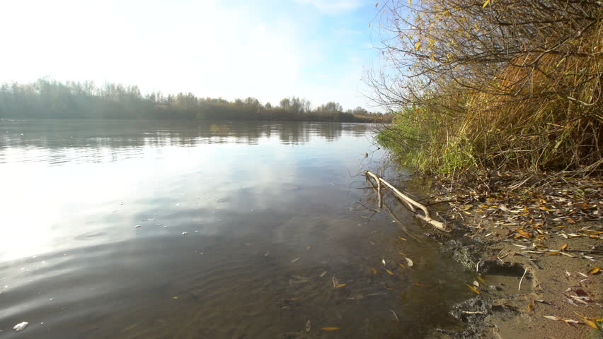 River bank with clear water reflecting the sky. Trees grow along the shore, and fallen leaves cover the ground.