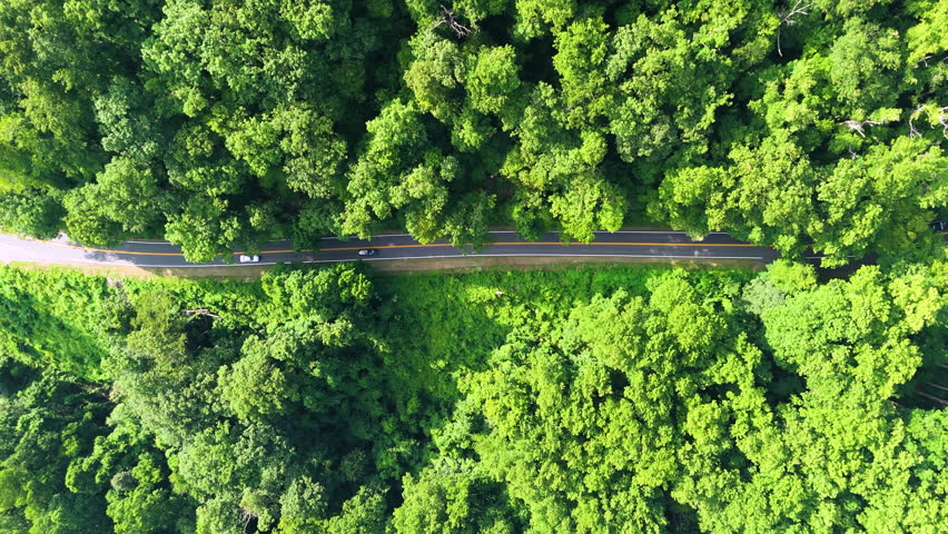 Blue Ridge Parkway in summer season. Mountain pass road in North Carolina Appalachian mountains, USA.