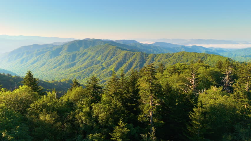 Beautiful nature of Tennessee mountains, USA. Great Smoky Mountains in summer season.