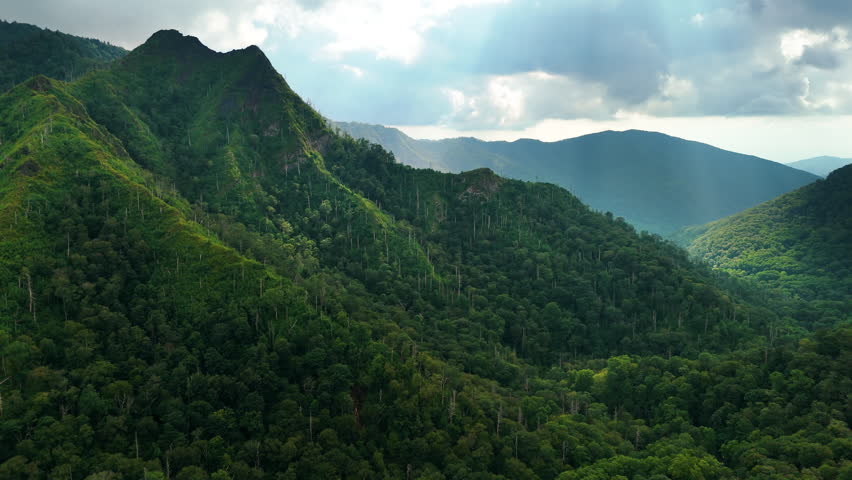 Chimney Tops peaks in Great Smoky Mountains National Park on the Border of Tennessee and North Carolina. Woods nature in summer season. Colorful green forest.