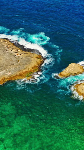 Top down aerial view of jagged coastal rocks meeting clear green and blue tropical sea water with white foam. Puerto Rico. Vertical video.