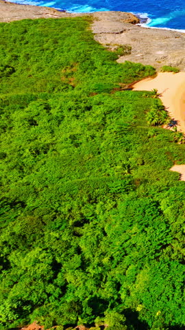 Top down perspective of lush green canopy covering the landscape with a red roof house and pool in the corner. Aerial view of dense tropical forest near coastal villa Puerto Rico. Vertical video.