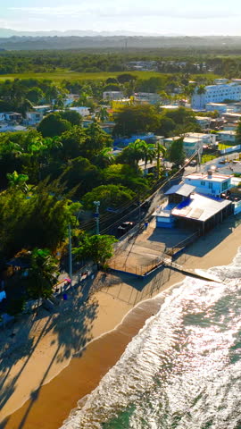 High angle shot of a coastline during sunset or sunrise with trees casting shadows on the sand. Sandy beach Puerto Rico. Vertical video.