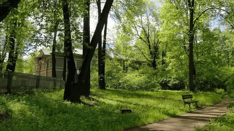 Lateral Drone Glide over Grass Klin Park