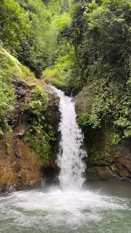 Serene waterfall flowing into a crystal clear pool in a lush tropical jungle