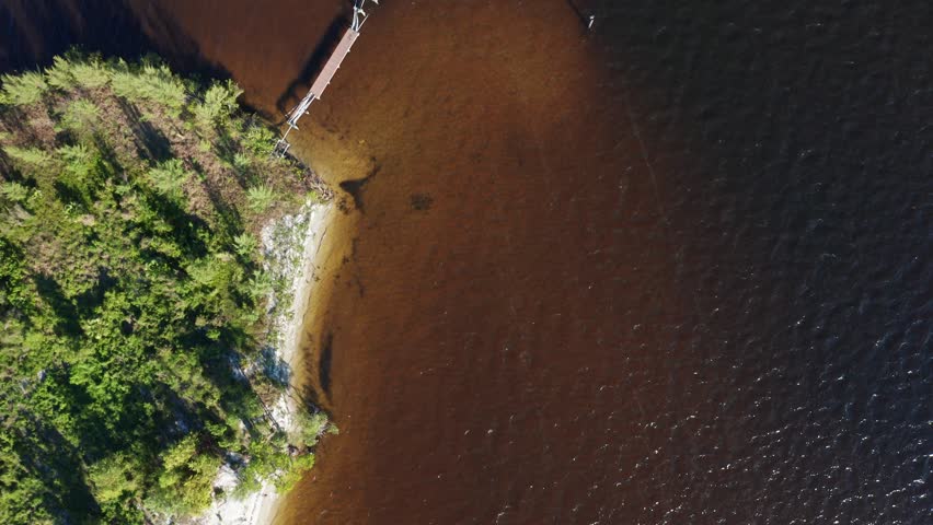 Aerial view of a dock stretching into deep, dark waters with lush greenery on the shoreline, creating a serene and natural setting.