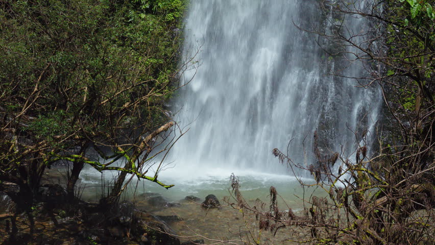 powerful tropical waterfall descends with significant force, forming wide white curtain of rushing water that plunges into clear, rocky stream below. scene enveloped by dense, vibrant green
