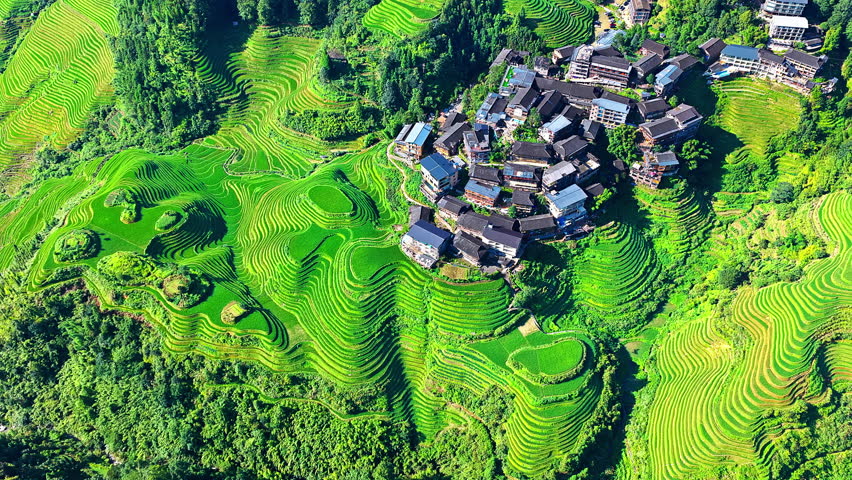 Aerial view of the lush green Longji rice terraces and traditional village architecture in Guilin, Guangxi, China. Scenic rural mountain landscape.