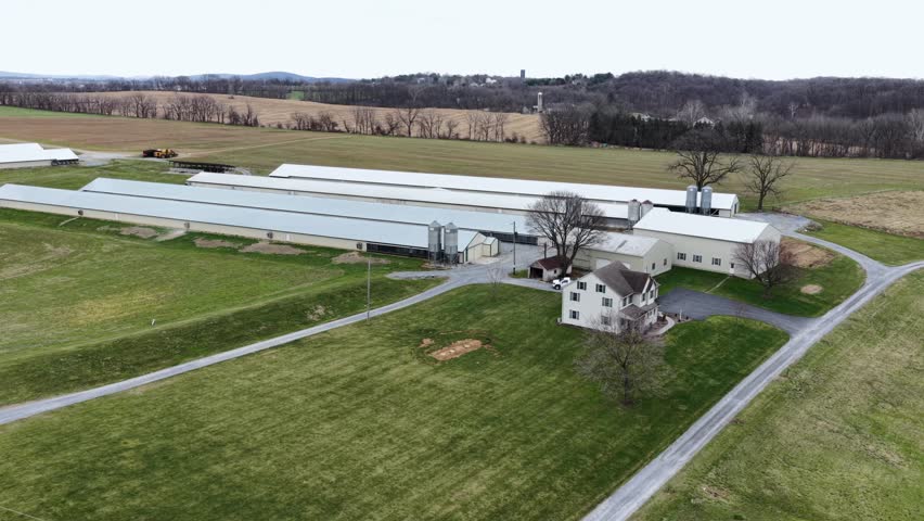 Aerial view of large Pennsylvania farm with long agricultural barns, farmhouse and surrounding fields, showing rural American countryside during early spring. Approaching shot. Parking pickup truck.
