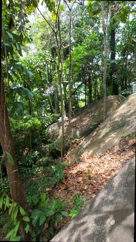 A vertical video of the Stations of the Cross Station 13 set along a serene tropical hillside, featuring a white cross monument surrounded by lush greenery. This video captures a quiet and contemplative atmosphere ideal for themes of faith, reflection, sacrifice, and spirituality. Suitable for Christian content, church presentations, Good Friday observances, Easter storytelling, and meditative visual projects.