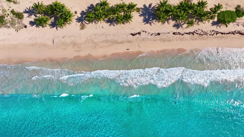Aerial view of the Caribbean coastline with a sandy, palm-fringed beach. A Dominican Republic tourist destination. A luxurious travel destination. Tropical landscape, aerial view. Beautiful seascape.