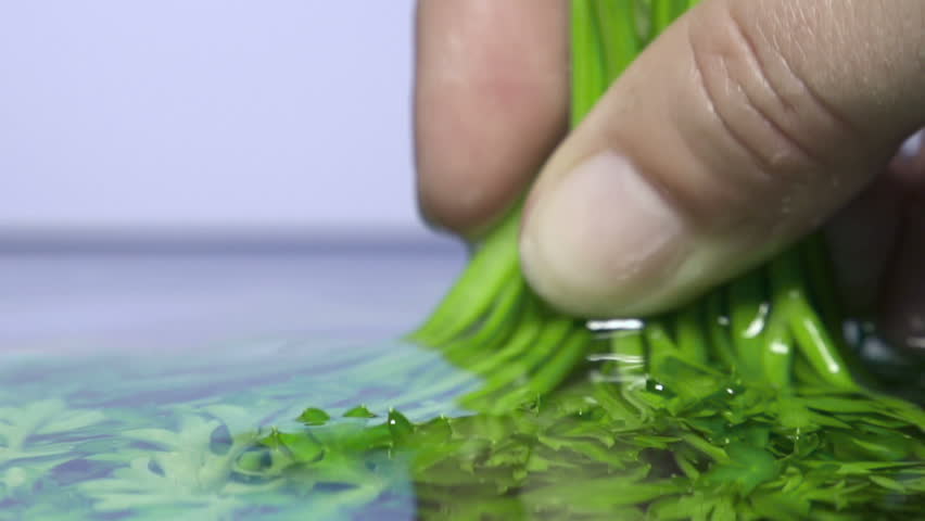 parsley under water with a splash.