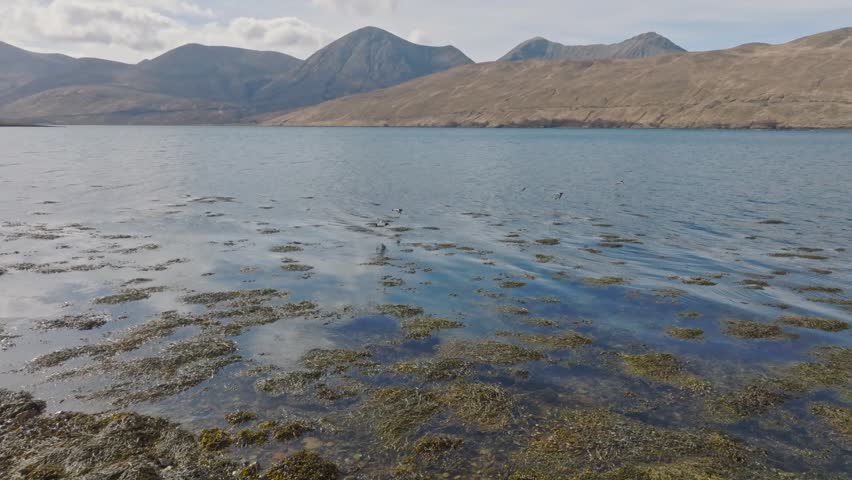 aerial shot of flock of birds as they glide over blue waters of a lake on the Isle of Skye, Scotland