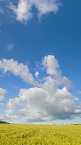 A beautiful sunny landscape featuring a clear blue sky dotted with fluffy white clouds