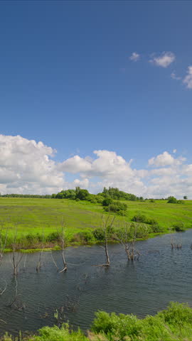 The Stunning and Scenic Wetlands Beneath a Bright and Beautiful Blue Sky Outside