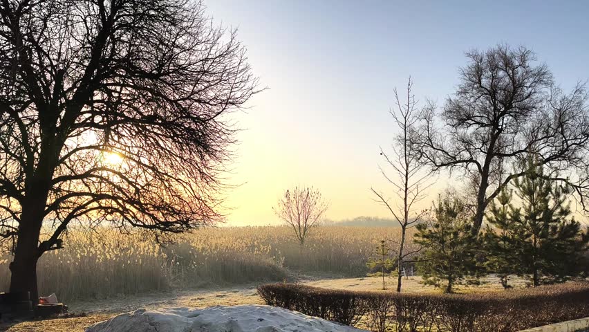 Park landscape with trees and soft sunrise light in early morning, nature concept. Park area covered with light frost, trees without leaves create calm atmosphere with warm glow, peaceful environment