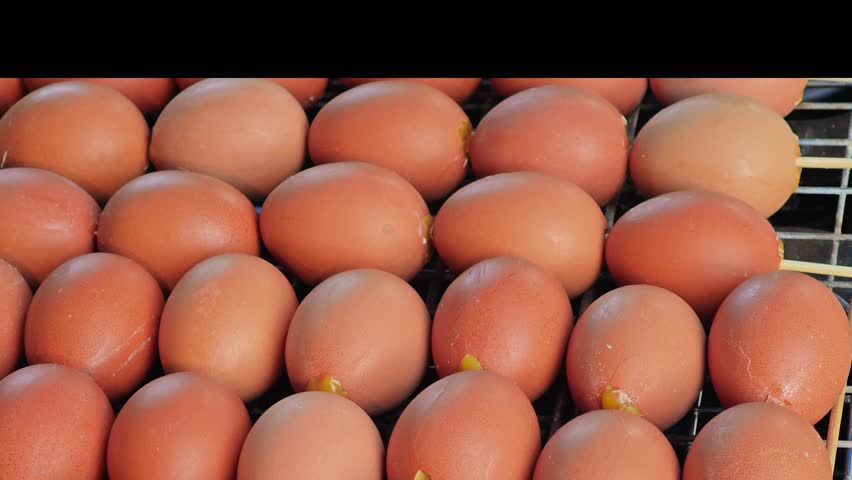 Asian food  grilled chicken eggs on a stick