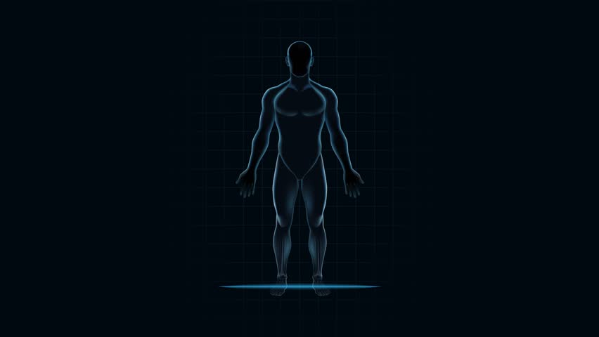 Human body biometric scanner HUD. Animated futuristic man skeletal system with full body bones and x-ray scan. High tech healthcare and AI medicine motion graphic.