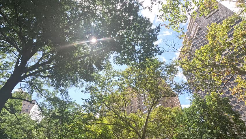 Footage of skyscrapers and office buildings in the skyline at Rittenhouse Park in Philadelphia Pennsylvania USA