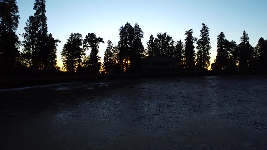 Sunset behind trees with sun rays. unlight streaming through trees in evening.