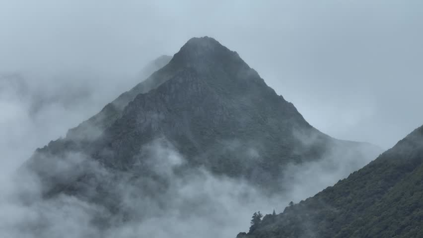 Beautiful sunrise forest landscape in Sichuan, China	

