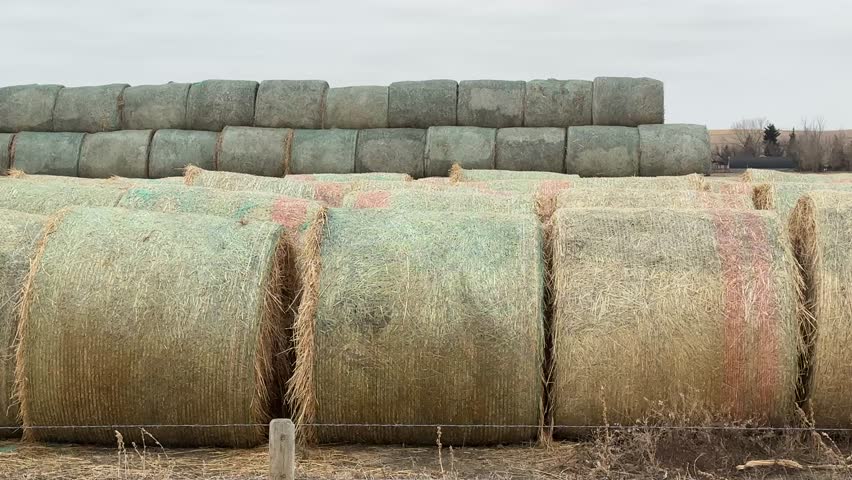 Stacked hay bales resting on a rural farm field in Alberta, Canada, surrounded by open prairie landscape and wide blue sky. The scene highlights agriculture, farming practices, and peaceful countryside environment in high-resolution 4K footage.