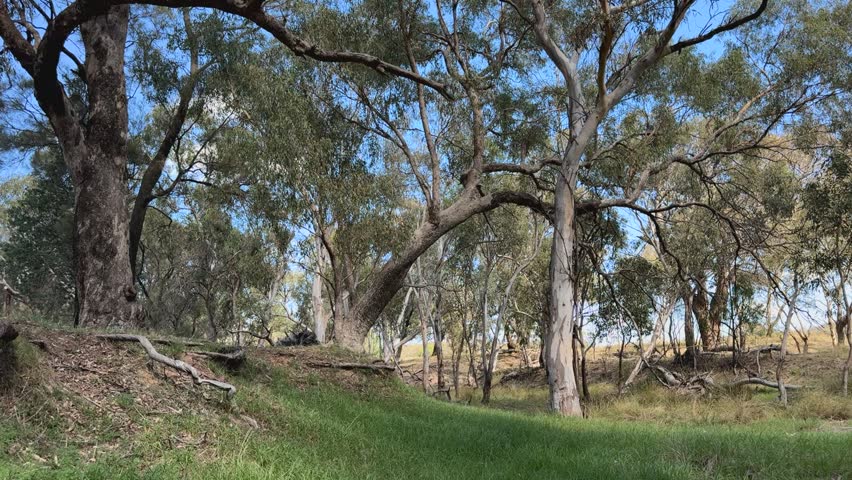 Dry creek bed at an Australian farm