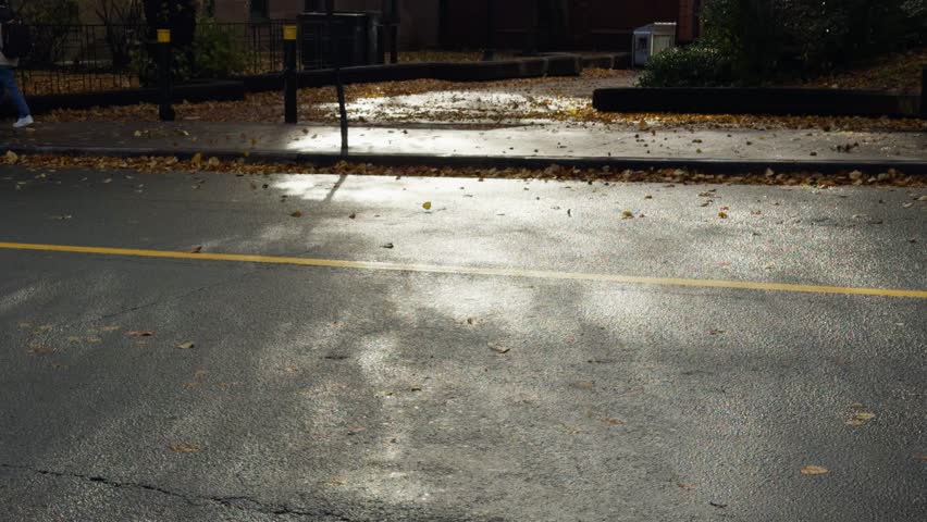 Dynamic shot: colorful dry autumn leaves swirl in the wind on sunny sidewalk in Halifax, Nova Scotia. Urban landscape with road, cars and buildings, vibrant golden fall atmosphere 4K.