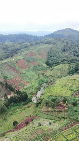Aerial view of terraced farmland across rolling hills, with patches of cultivated fields and lush greenery stretching toward distant forested mountains