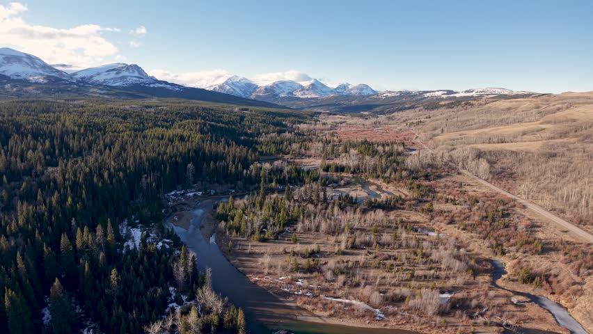 Aerial drone shot of a sprawling dry prairie in Montana with sparse grass and a strip of evergreen forest leading towards distant snow-capped mountains under a clear sky.