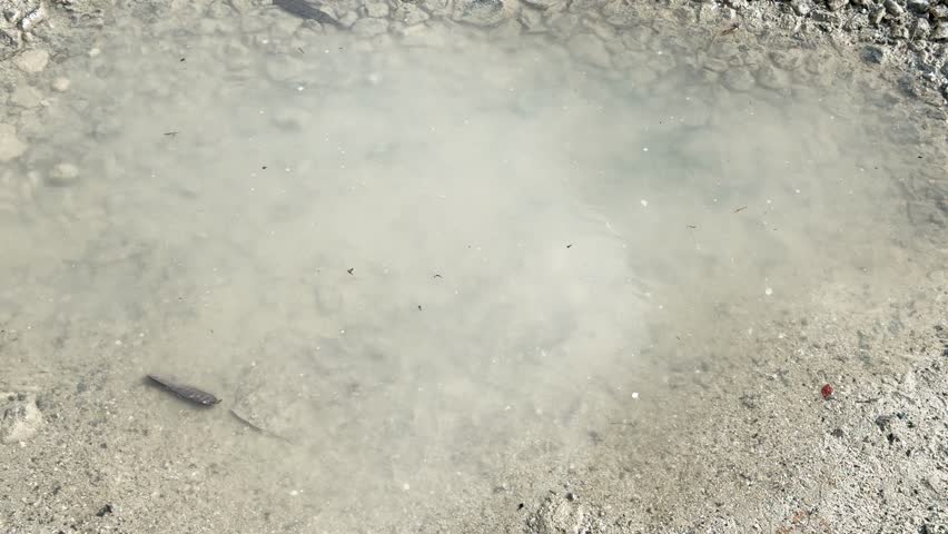 A single droplet falls into a shallow, murky puddle, creating concentric ripples on sandy ground