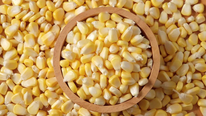 Close-up of fresh sweet corn