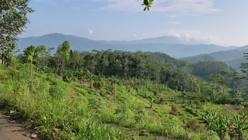 Panoramic view of tropical agricultural hills with mixed crops, lush greenery, and mountains under a clear sky in Indonesia.