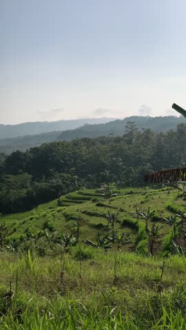 Panoramic view of tropical agricultural hills with mixed crops, lush greenery, and mountains under a clear sky in Indonesia.