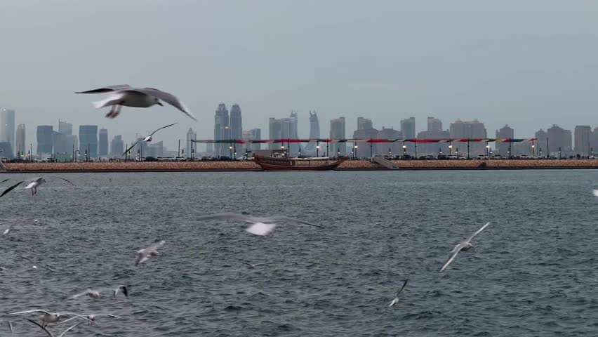 Doha skyline and harbor view, modern skyscrapers by the sea in Qatar, seagulls over Arabian Gulf