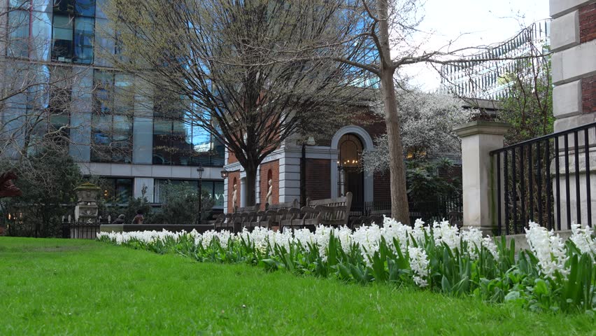 Urban garden in London with white flowers, green lawn, and trees in a courtyard surrounded by buildings. Daytime scene showing landscaped plants and seating area