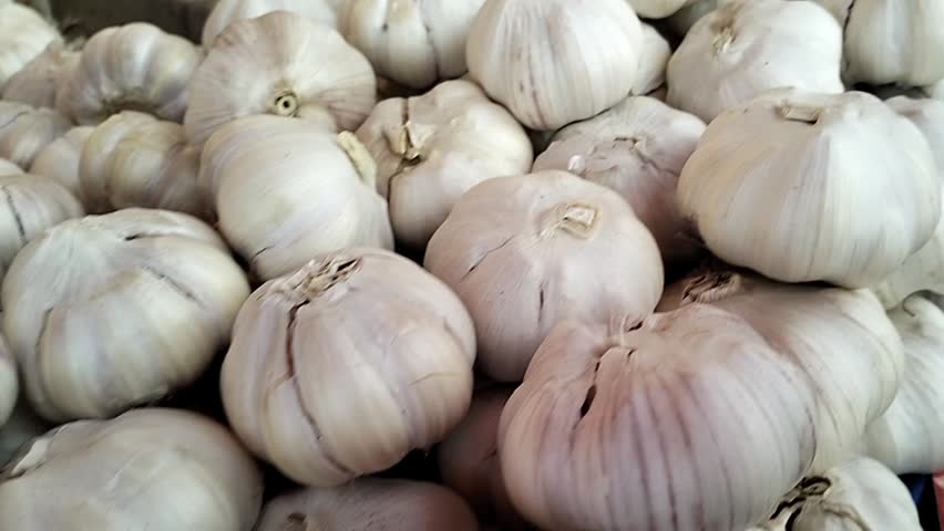 Fresh Garlic with cloves close up