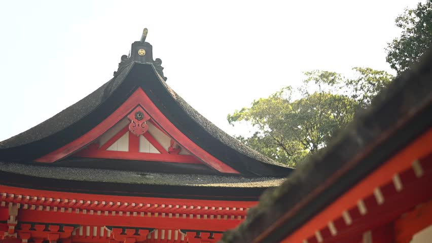 Calm view of the Kamo Mioya Shrine in Kyoto, Japan, also known as the Shimogamo Shrine, which is a UNESCO World Heritage Site. This video contains forested shrines, traditional wooden structures, and detailed cuts of the shrine. It reflects the quiet and spiritual atmosphere of one of the oldest and most important Shinto shrines in Kyoto.