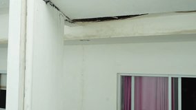 Structural Concrete Ceiling Damage and Water Seepage in Building Exterior - Powered by Shutterstock - Get 15% off with code: PIKWIZARD15