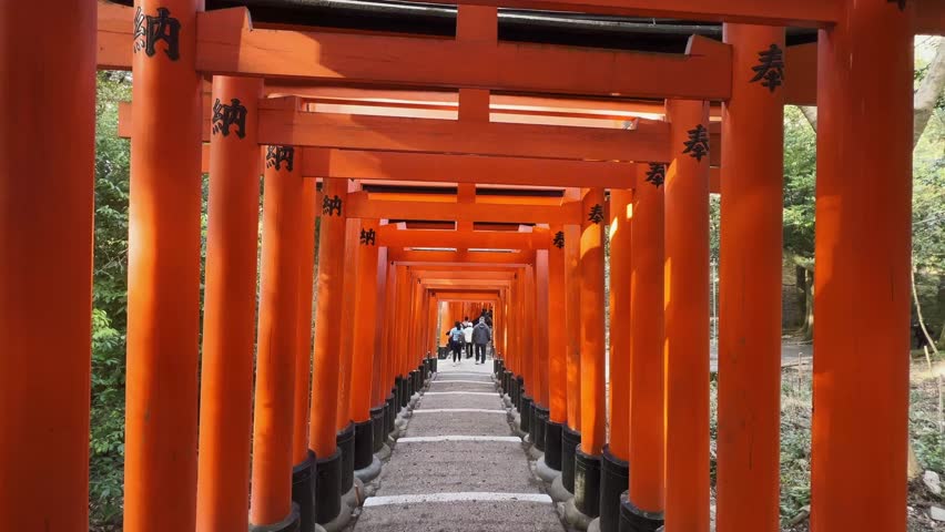 This is a detailed view of Fushimi Inari Taisha in Kyoto, Japan, which is famous for its thousands of red Torii doors across forested mountains. This video shows the iconic trails, traditional shrine structures, images of Inari