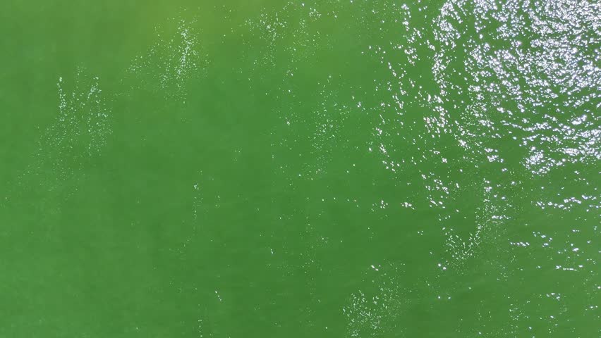 Drone looking down over Lake Manitoba at Steep Rock Manitoba moving forward to reveal limestone cliffs, shoreline, trees, and green water on a sunny summer day.